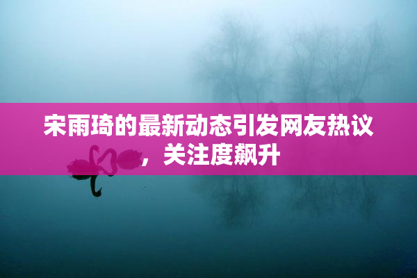 宋雨琦的最新动态引发网友热议，关注度飙升