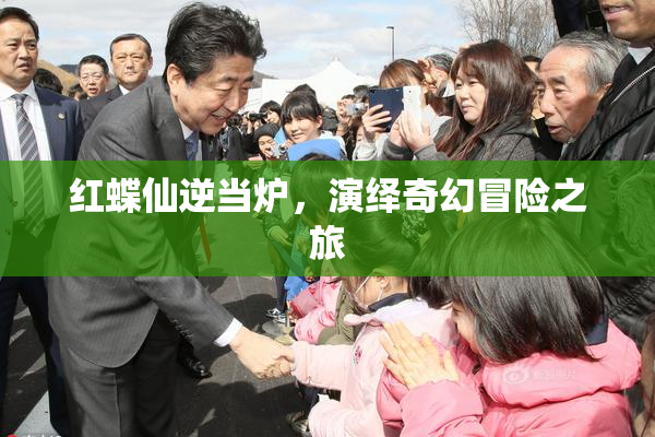 红蝶仙逆当炉，演绎奇幻冒险之旅