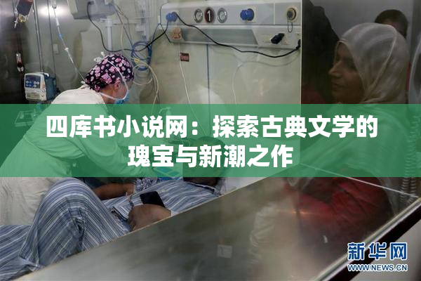 四库书小说网：探索古典文学的瑰宝与新潮之作