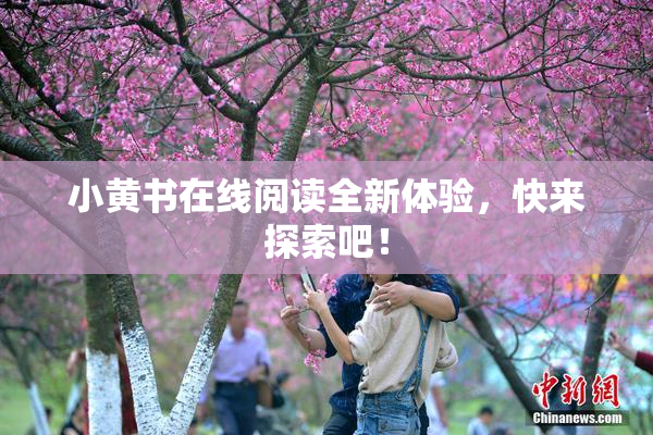 小黄书在线阅读全新体验，快来探索吧！
