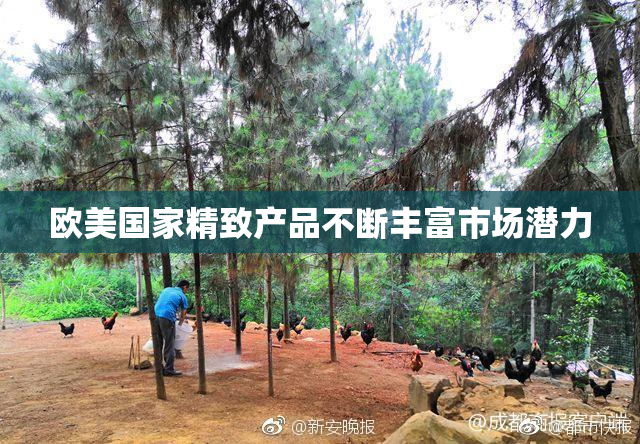 欧美国家精致产品不断丰富市场潜力