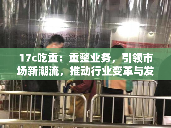 17c吃重：重整业务，引领市场新潮流，推动行业变革与发展