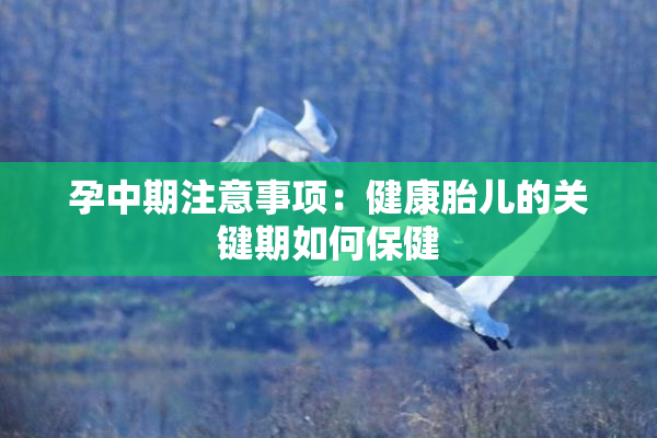 孕中期注意事项：健康胎儿的关键期如何保健