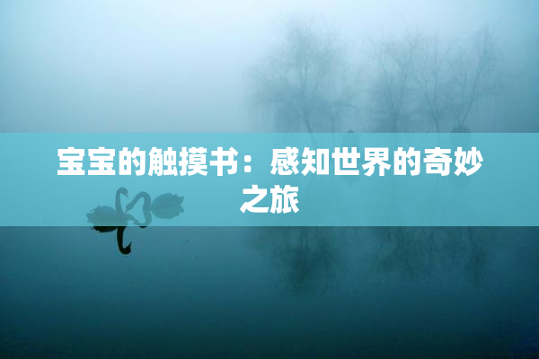 宝宝的触摸书：感知世界的奇妙之旅