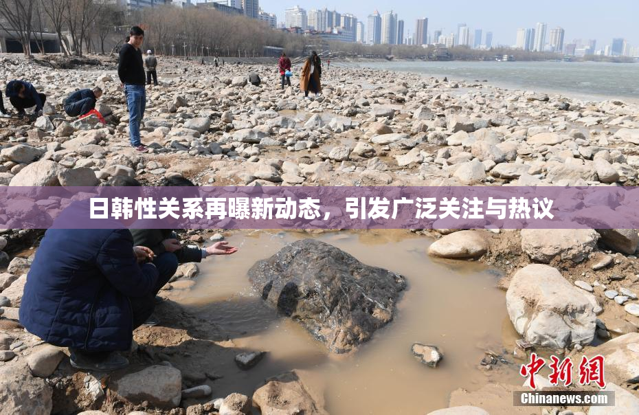 日韩性关系再曝新动态，引发广泛关注与热议