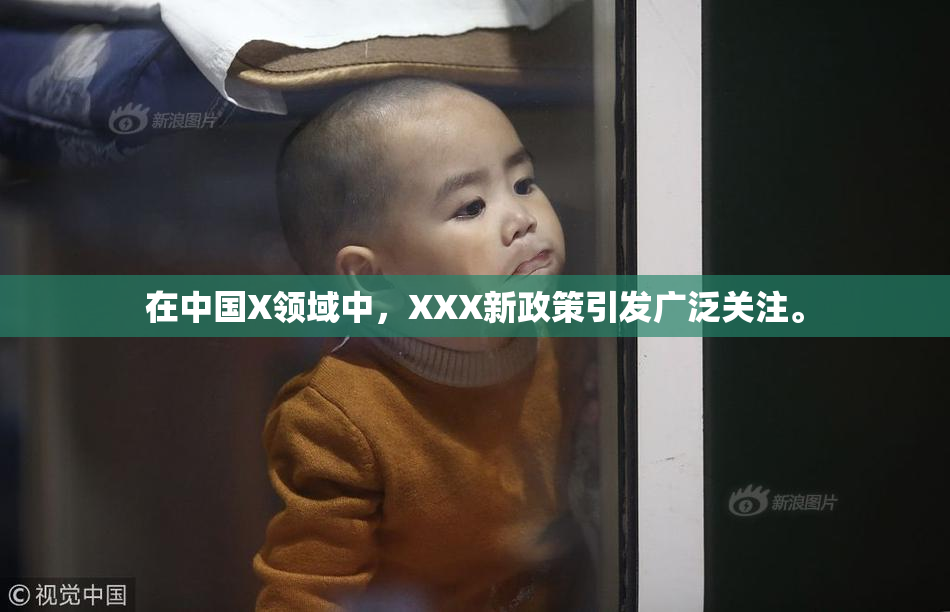 在中国X领域中，XXX新政策引发广泛关注。