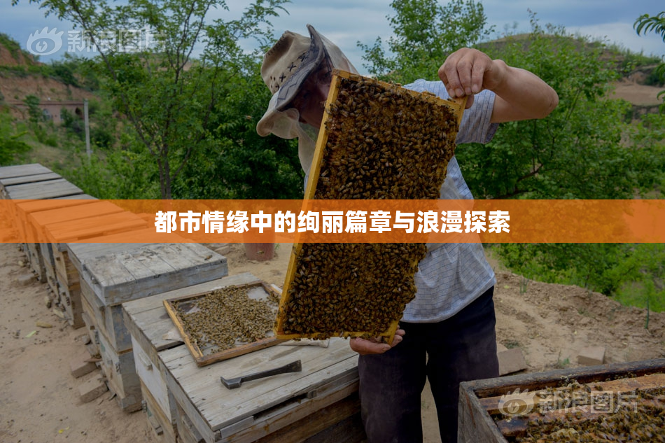 都市情缘中的绚丽篇章与浪漫探索