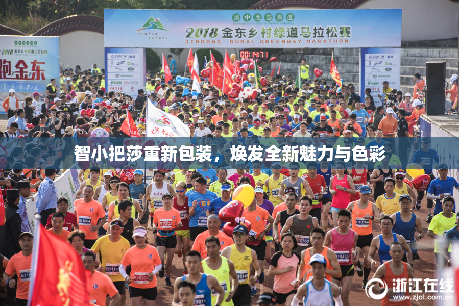 智小把莎重新包装，焕发全新魅力与色彩