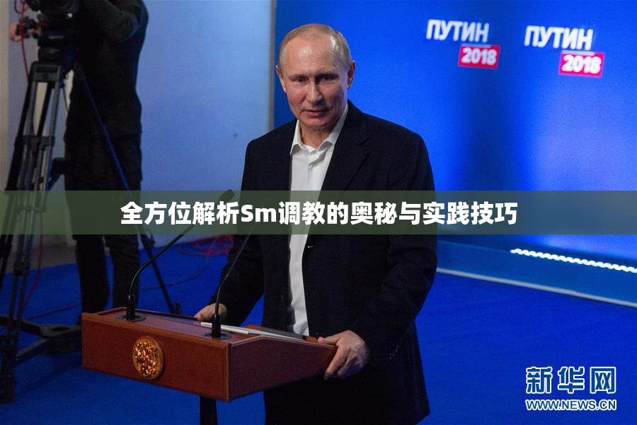 全方位解析Sm调教的奥秘与实践技巧
