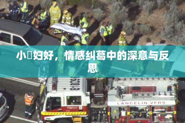 小婬妇好，情感纠葛中的深意与反思