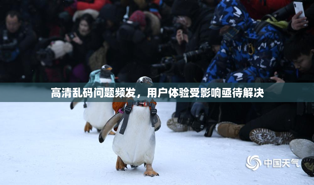高清乱码问题频发，用户体验受影响亟待解决