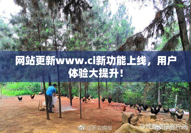 网站更新www.ci新功能上线，用户体验大提升！