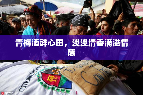 青梅酒醉心田，淡淡清香满溢情感