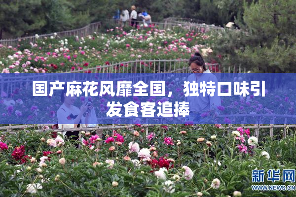 国产麻花风靡全国，独特口味引发食客追捧