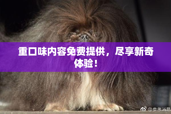 重口味内容免费提供，尽享新奇体验！
