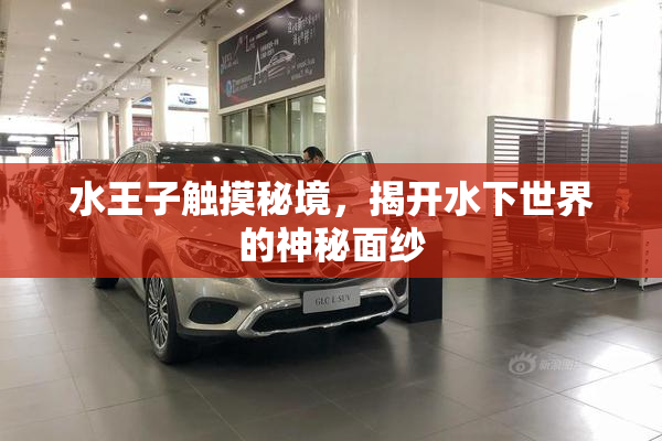 水王子触摸秘境，揭开水下世界的神秘面纱
