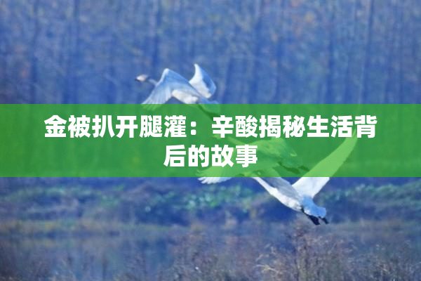 金被扒开腿灌：辛酸揭秘生活背后的故事