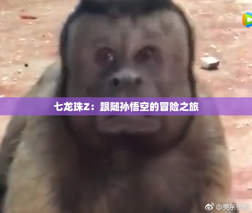 七龙珠Z：跟随孙悟空的冒险之旅