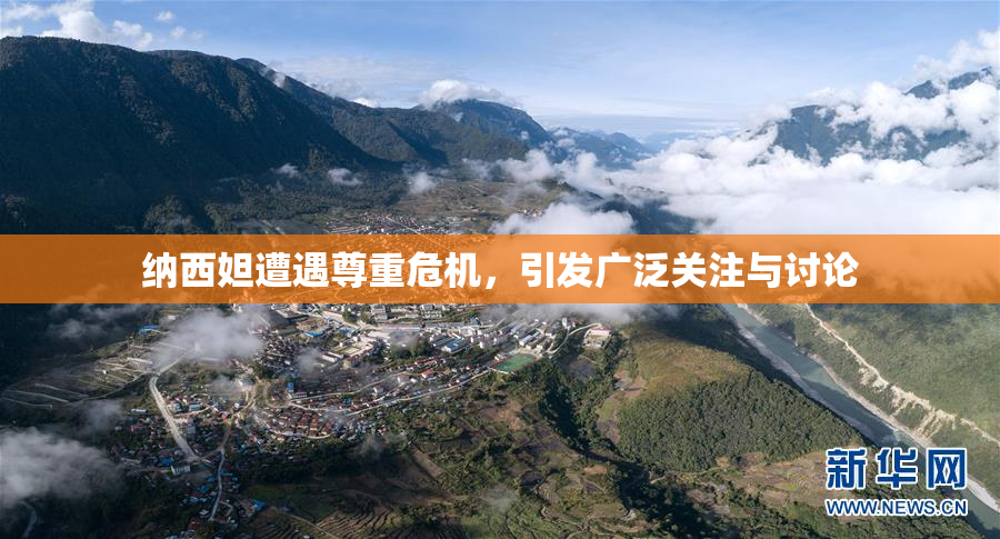 纳西妲遭遇尊重危机，引发广泛关注与讨论