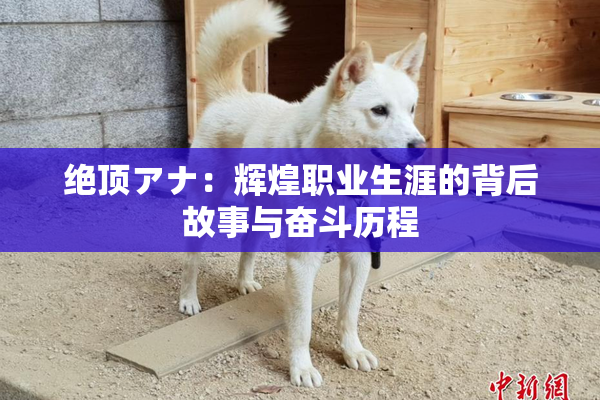 绝顶アナ：辉煌职业生涯的背后故事与奋斗历程