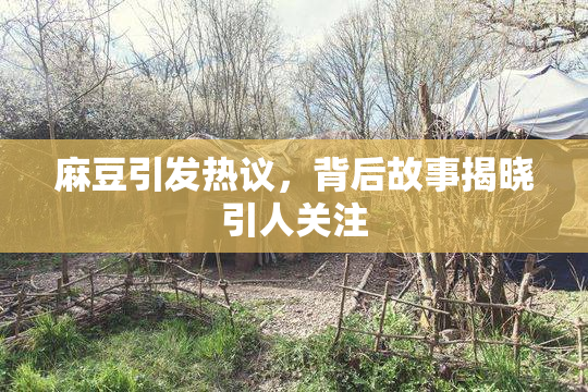 麻豆引发热议，背后故事揭晓引人关注