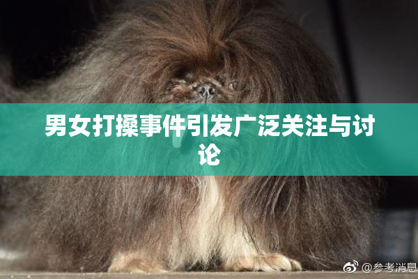 男女打搡事件引发广泛关注与讨论