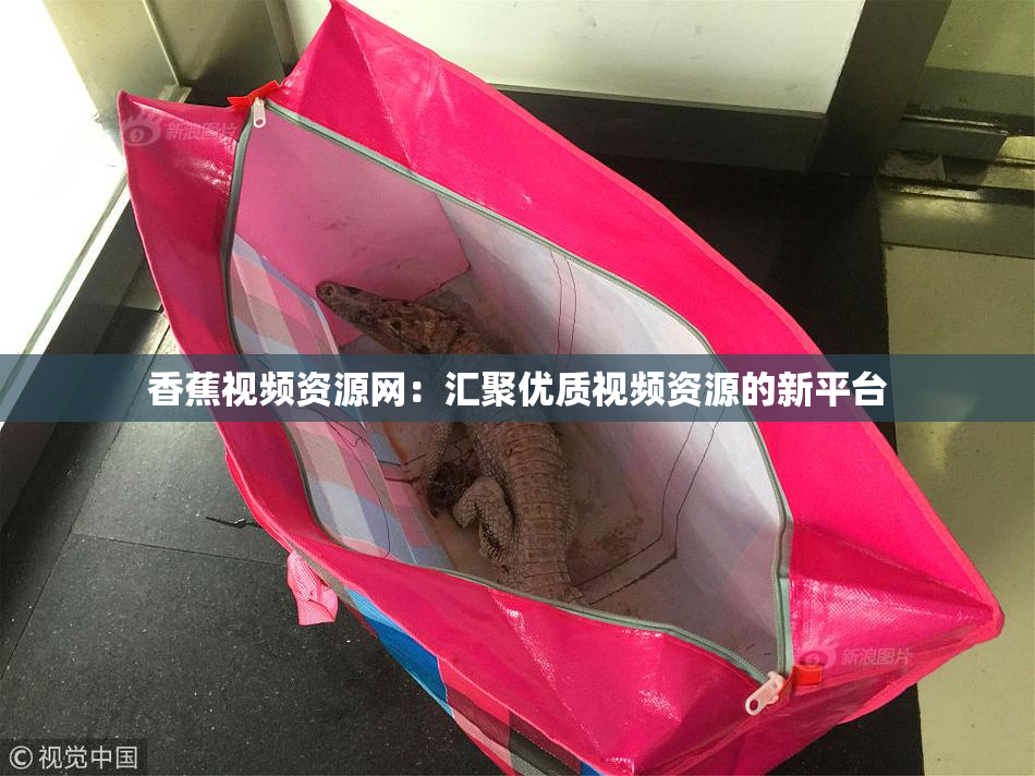 香蕉视频资源网：汇聚优质视频资源的新平台