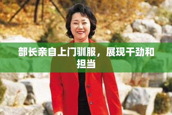 部长亲自上门驯服，展现干劲和担当
