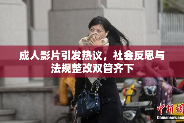 成人影片引发热议，社会反思与法规整改双管齐下