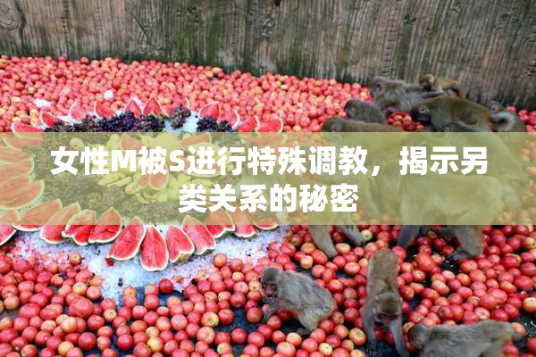 女性M被S进行特殊调教，揭示另类关系的秘密