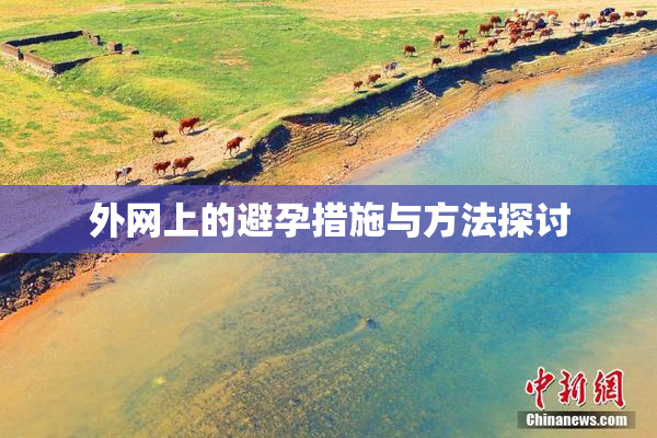 外网上的避孕措施与方法探讨