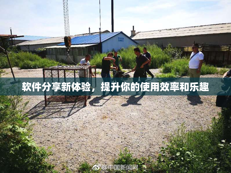 软件分享新体验，提升你的使用效率和乐趣