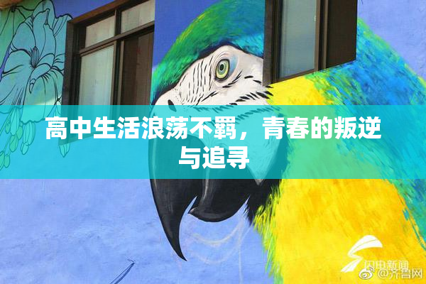 高中生活浪荡不羁，青春的叛逆与追寻