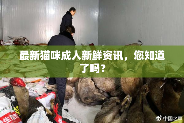 最新猫咪成人新鲜资讯，您知道了吗？