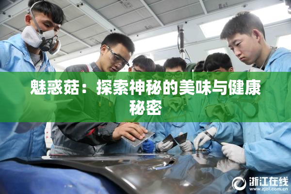 魅惑菇：探索神秘的美味与健康秘密