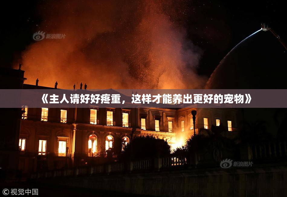 《主人请好好疼重，这样才能养出更好的宠物》