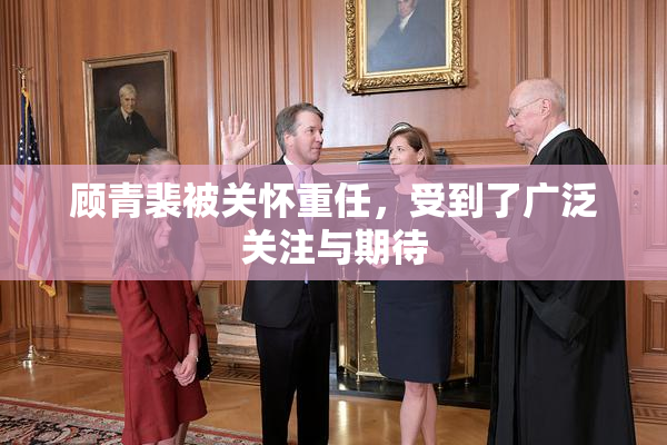 顾青裴被关怀重任，受到了广泛关注与期待