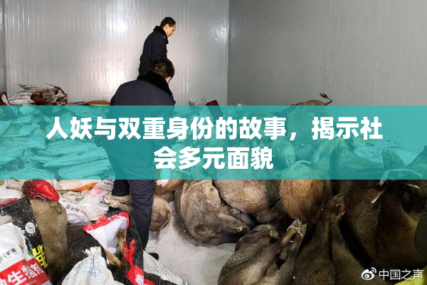 人妖与双重身份的故事，揭示社会多元面貌