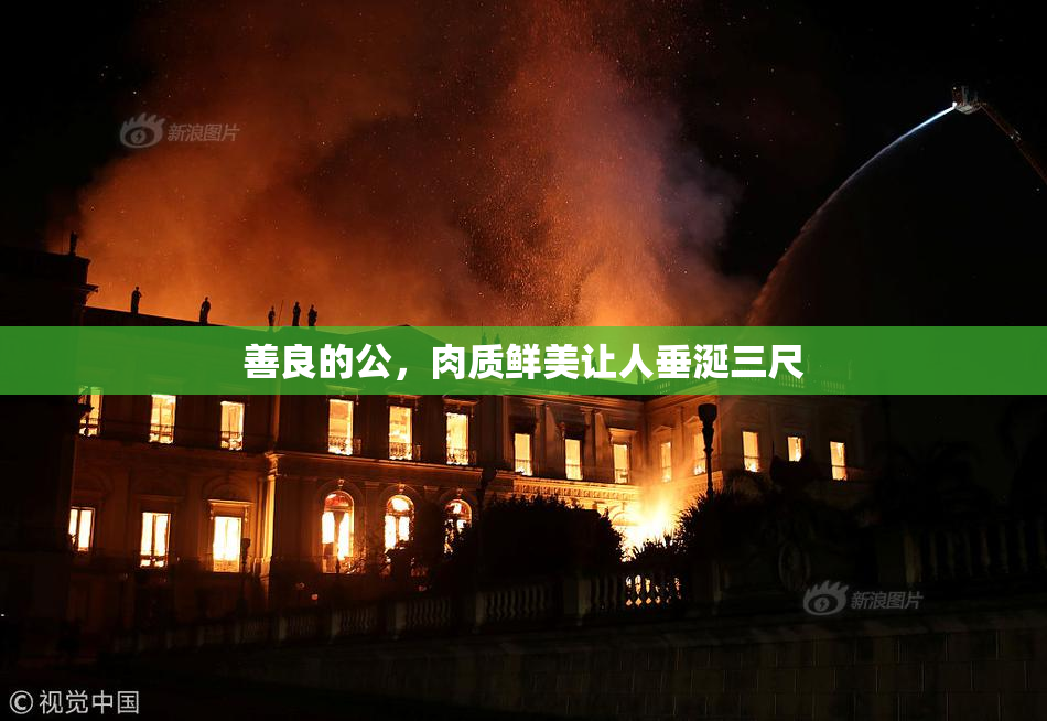善良的公，肉质鲜美让人垂涎三尺