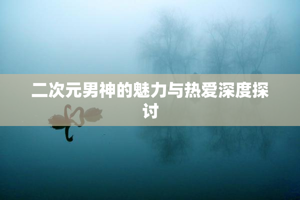 二次元男神的魅力与热爱深度探讨