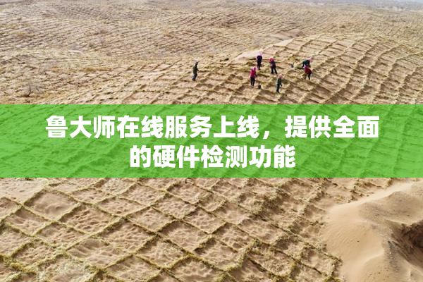 鲁大师在线服务上线，提供全面的硬件检测功能