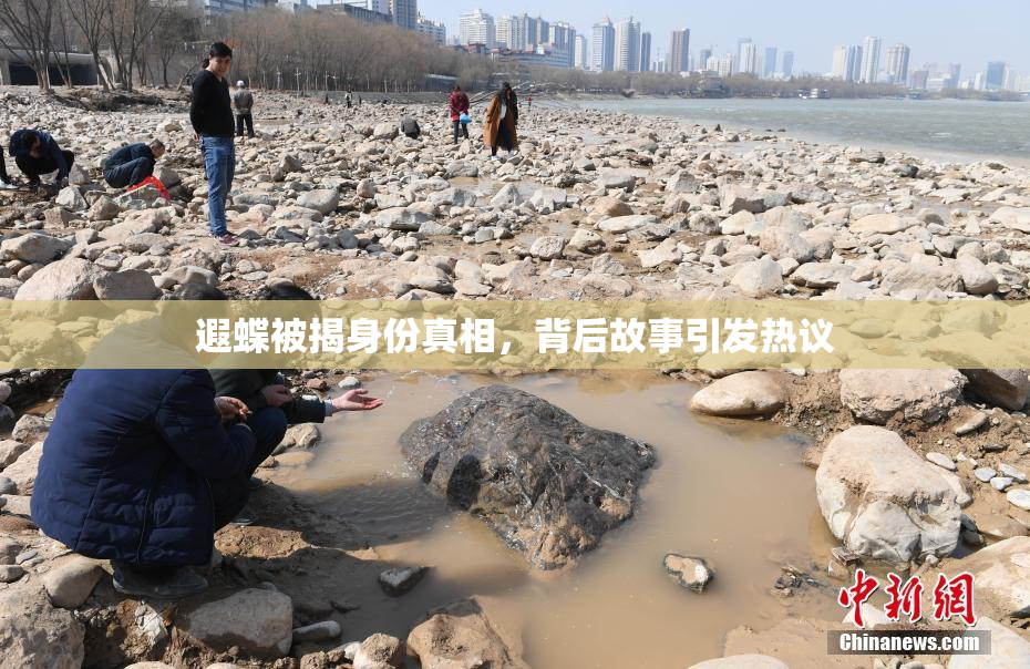 遐蝶被揭身份真相，背后故事引发热议