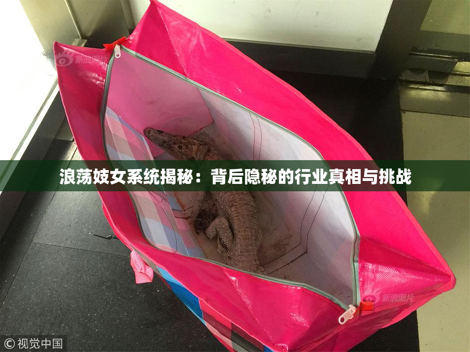 浪荡妓女系统揭秘：背后隐秘的行业真相与挑战
