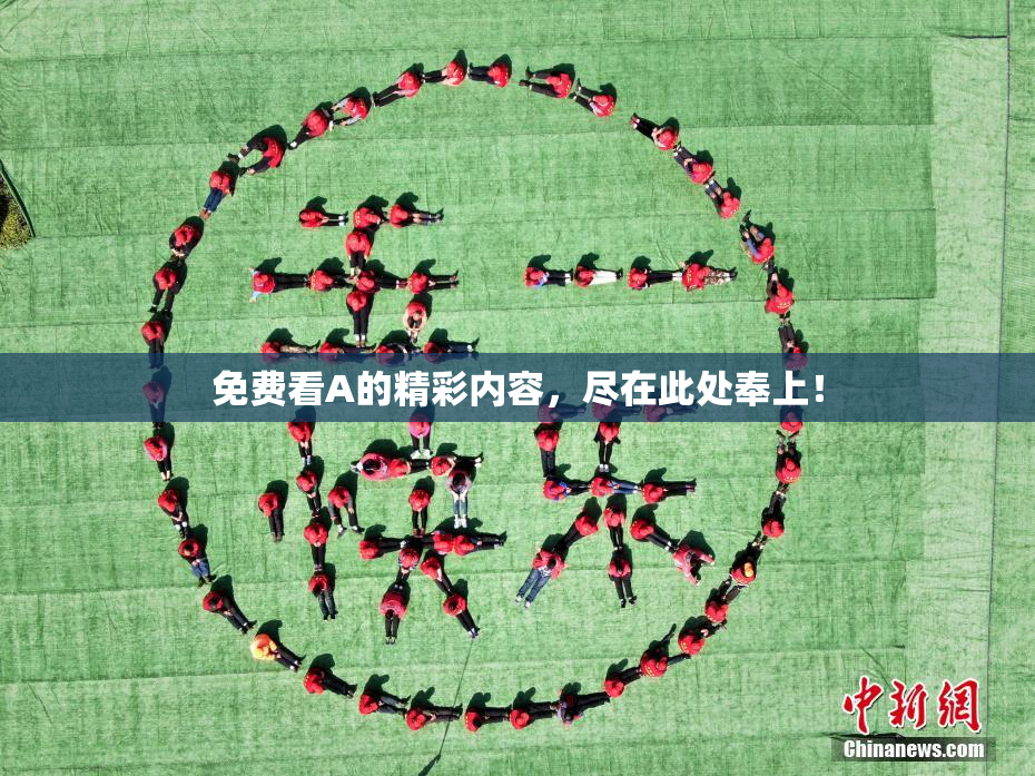 免费看A的精彩内容，尽在此处奉上！