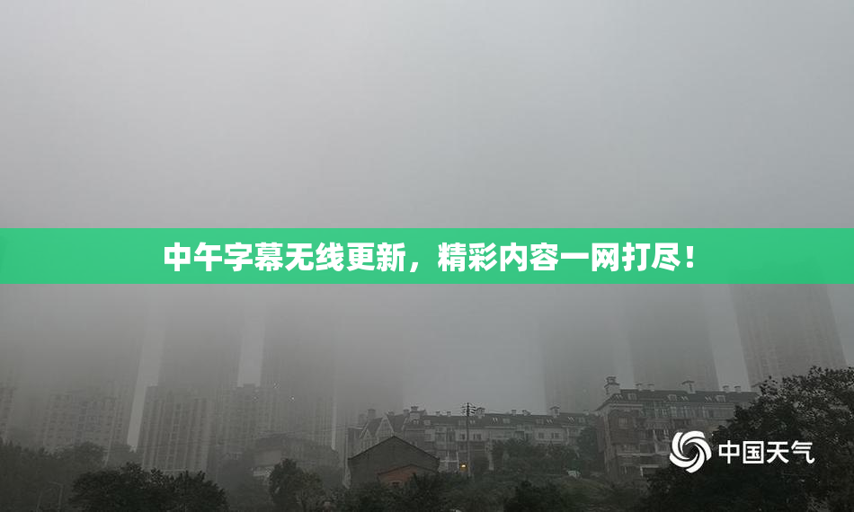 中午字幕无线更新，精彩内容一网打尽！