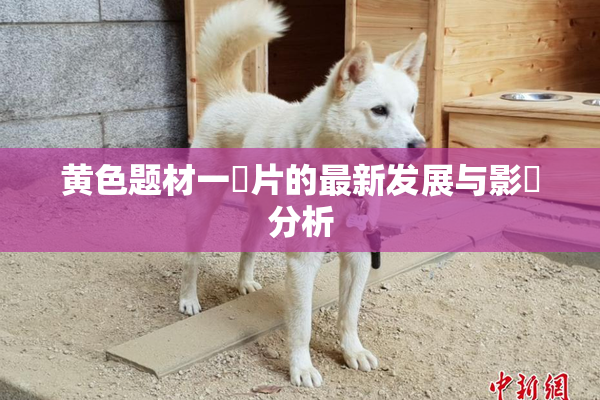 黄色题材一級片的最新发展与影響分析