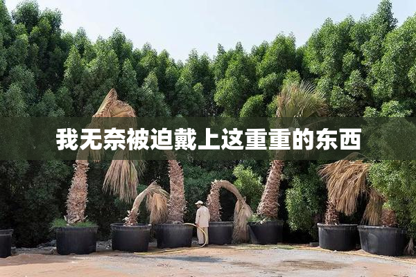 我无奈被迫戴上这重重的东西