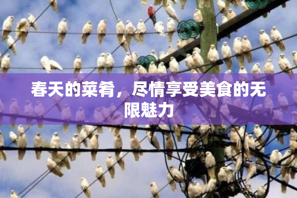 春天的菜肴，尽情享受美食的无限魅力