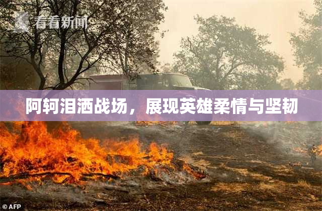 阿轲泪洒战场，展现英雄柔情与坚韧
