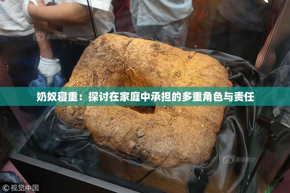 奶奴寝重：探讨在家庭中承担的多重角色与责任